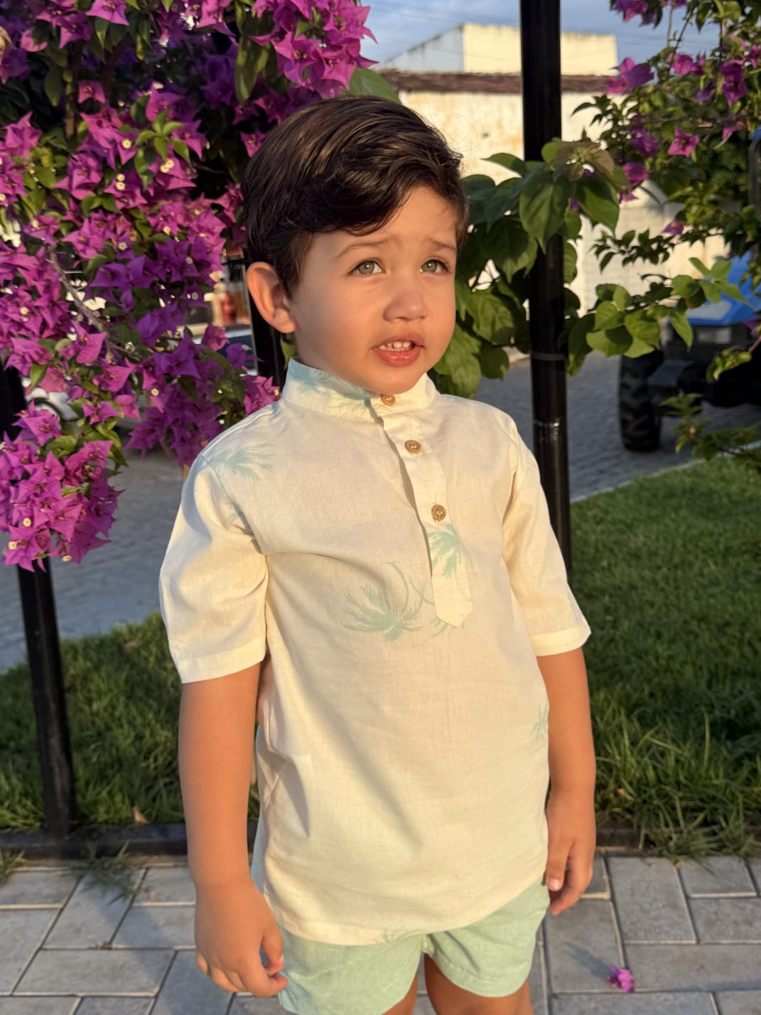 CAMISA GOLA PADRE (REF. 030D)